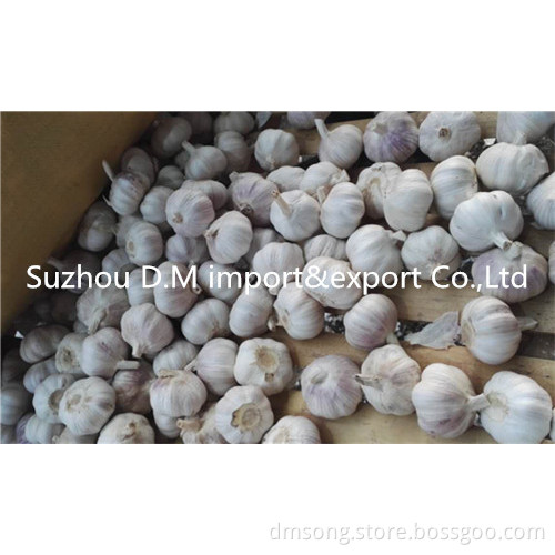 High quality garlic from China